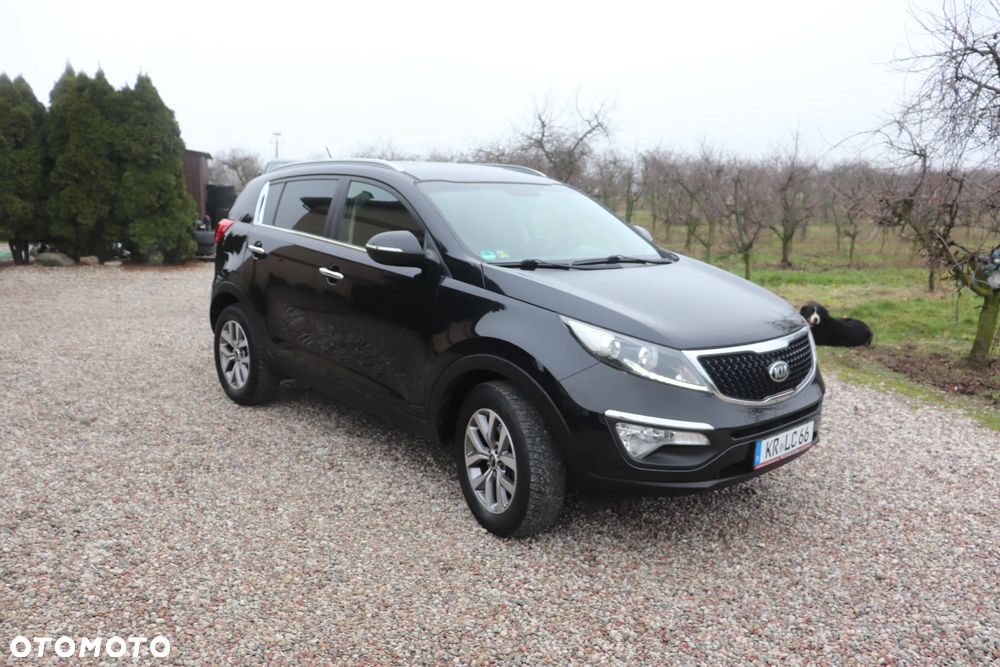 Kia Sportage 1.6 GDI Business Line L 2WD - 25