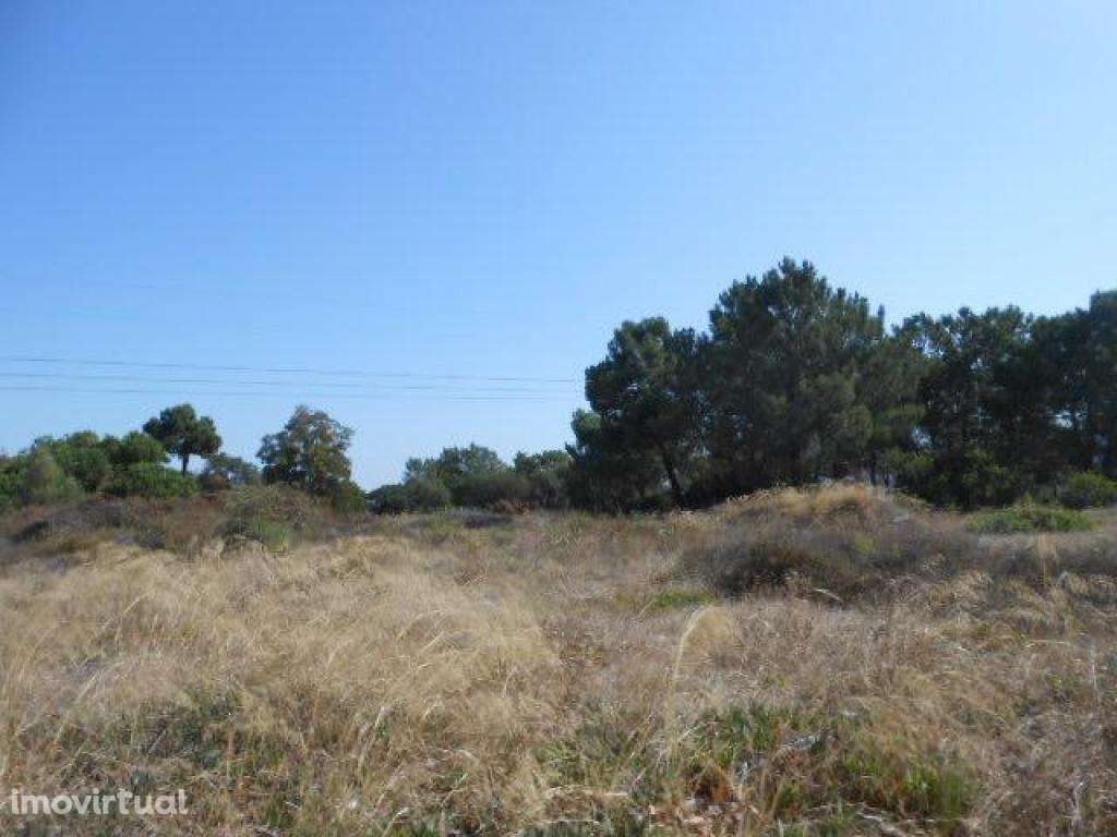 Terreno - até 100% Financiamento - Grande imagem: 3/3