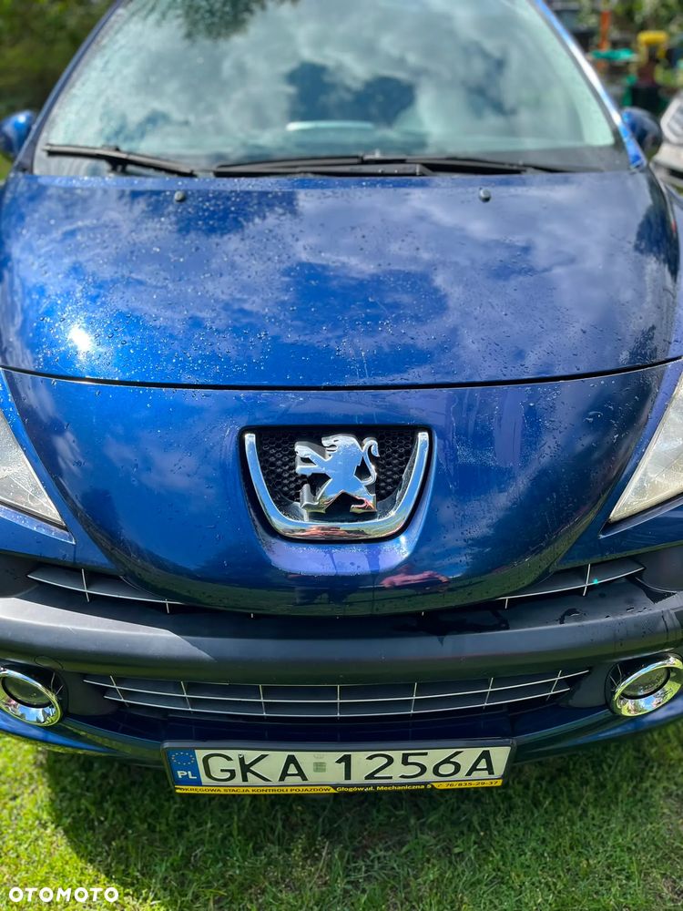 Peugeot 207 - 16