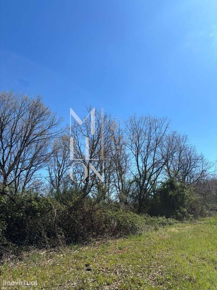 Terreno com 3 hectares às portas da cidade da Guarda - Grande imagem: 4/7