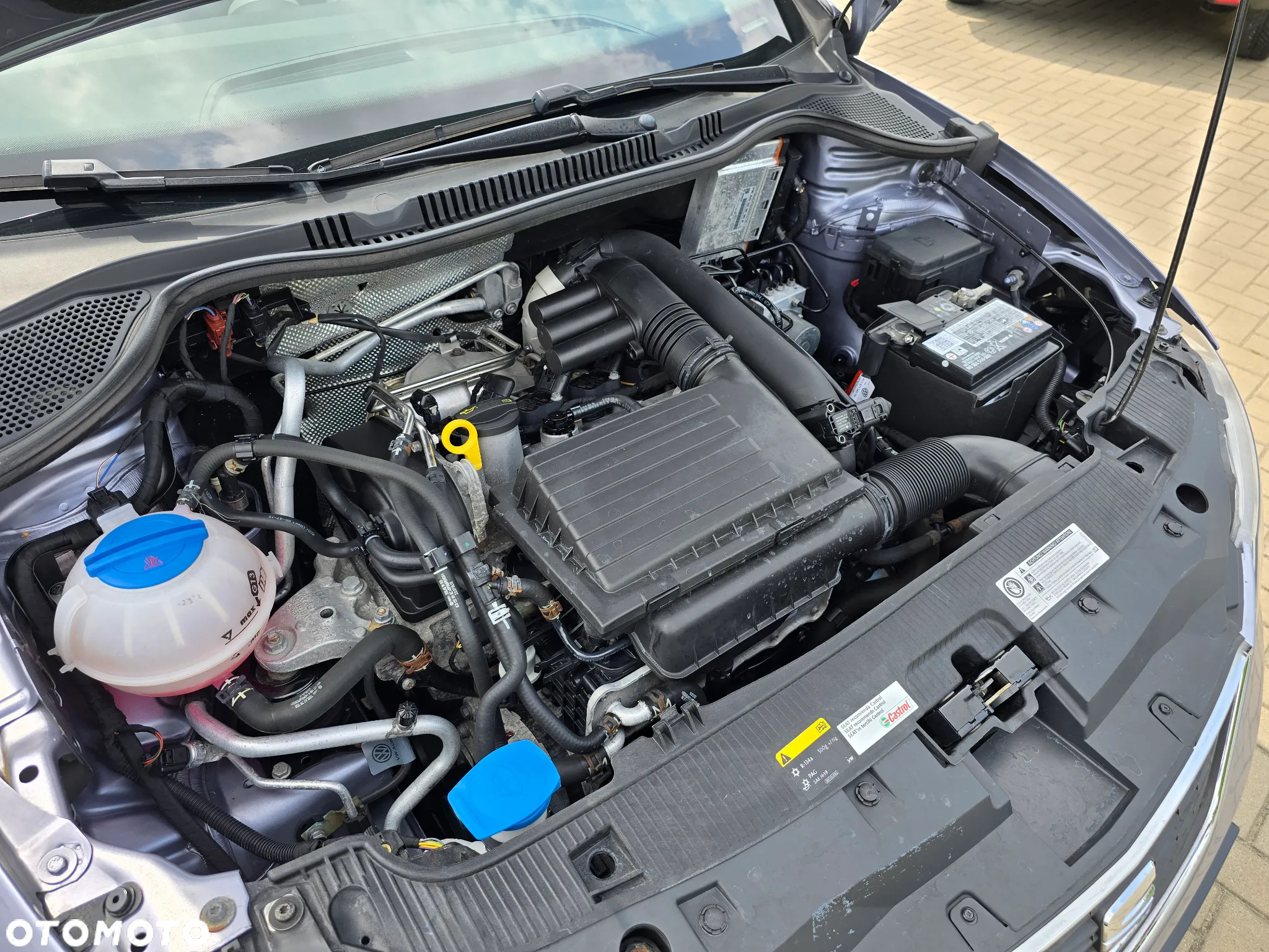 Seat Ibiza - 16