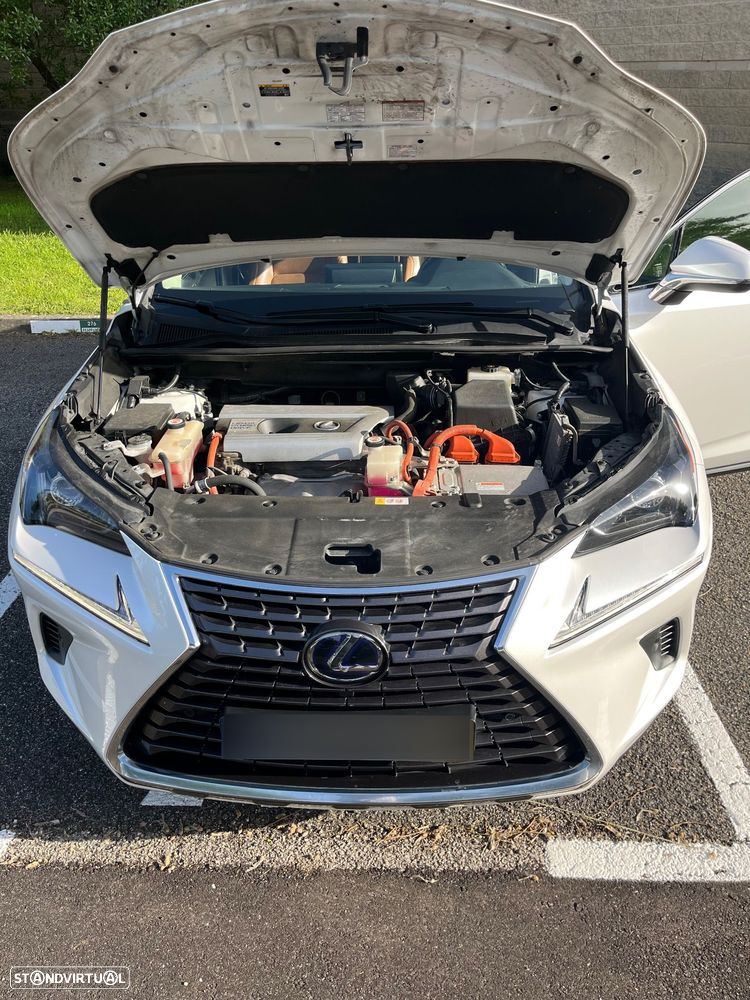 Lexus NX 300h Executive Plus - 8