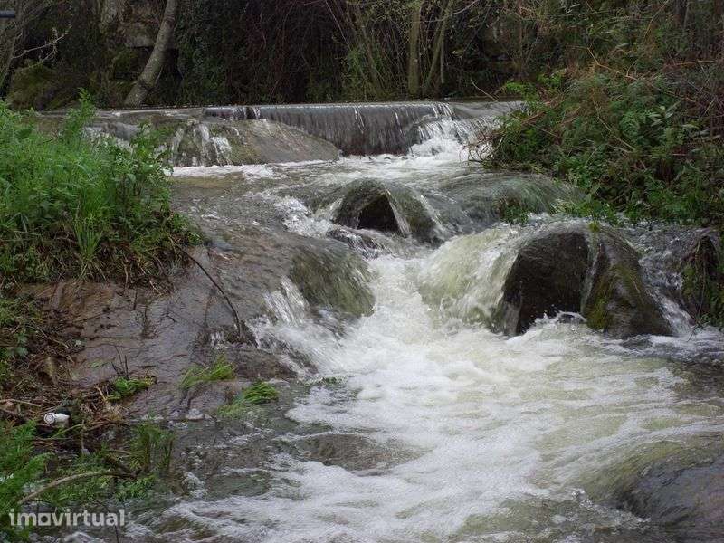 Quinta em Mangualde - Grande imagem: 4/12