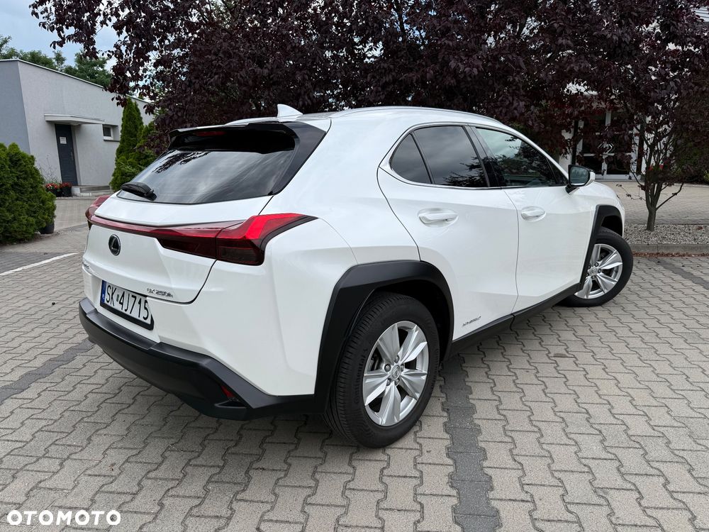 Lexus UX 250h F Sport 2WD - 7