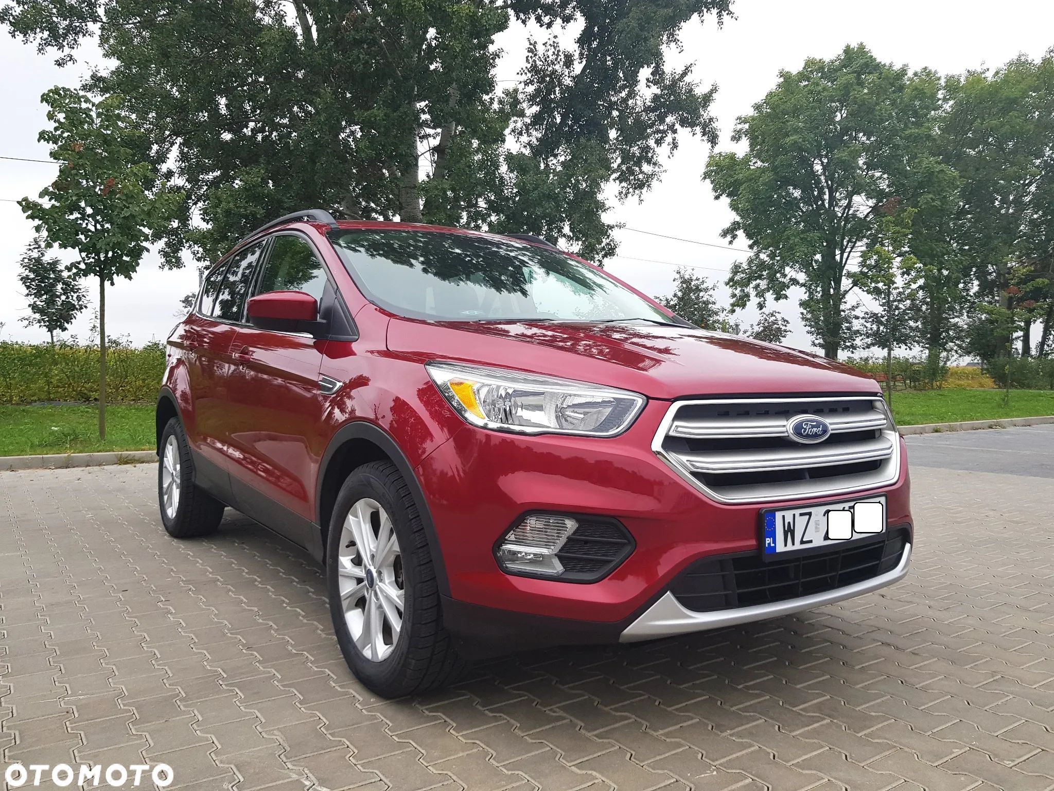 Ford Kuga 1.5 EcoBoost AWD Edition ASS - 1