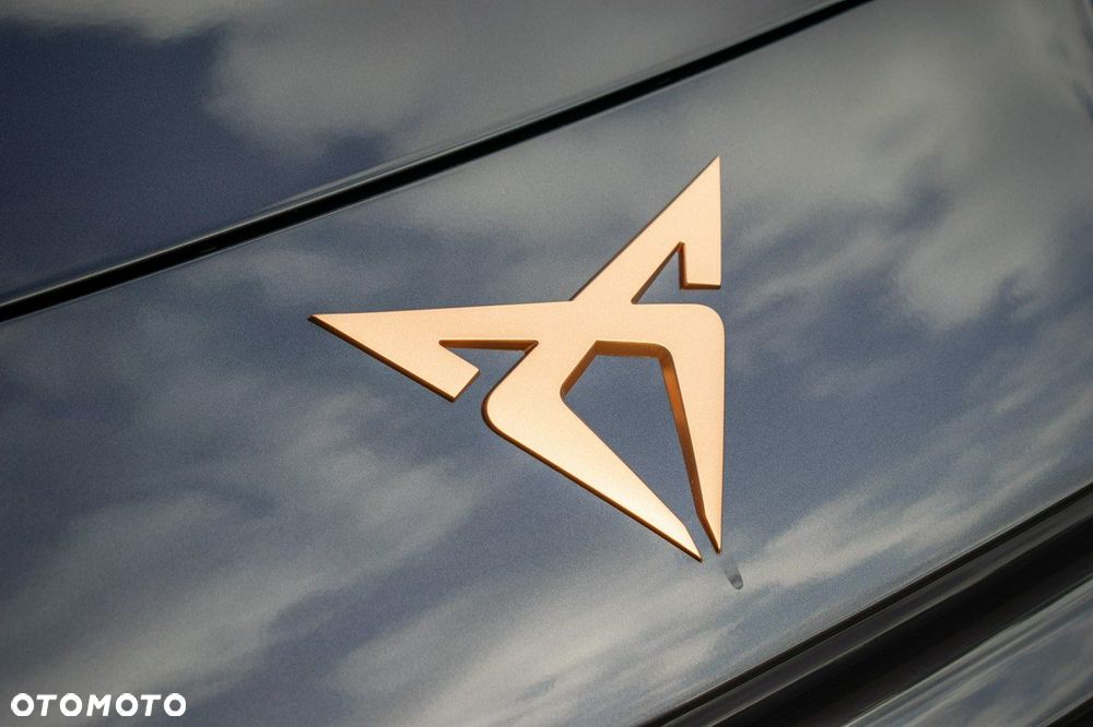 Cupra Terramar - 7