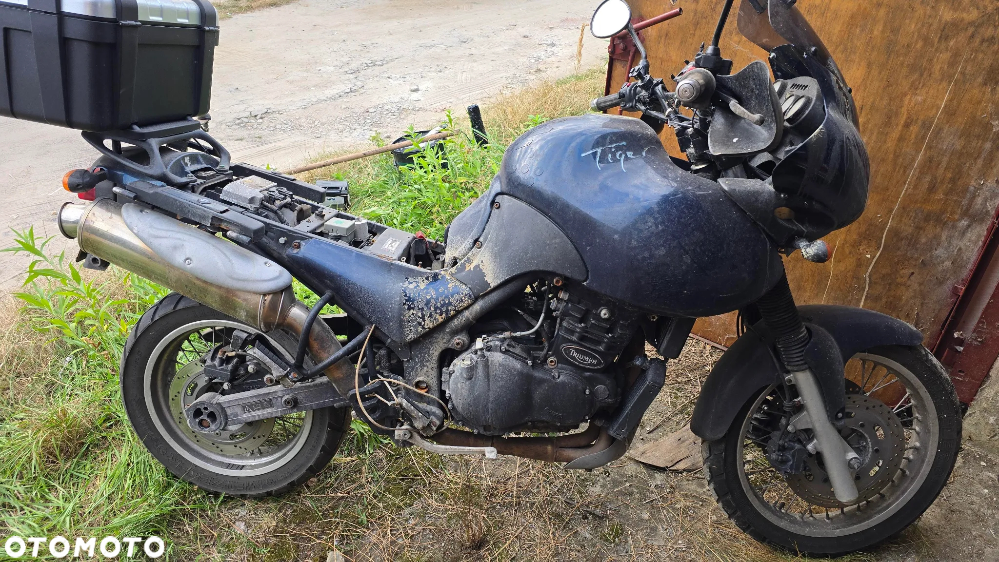 Triumph Tiger - 7