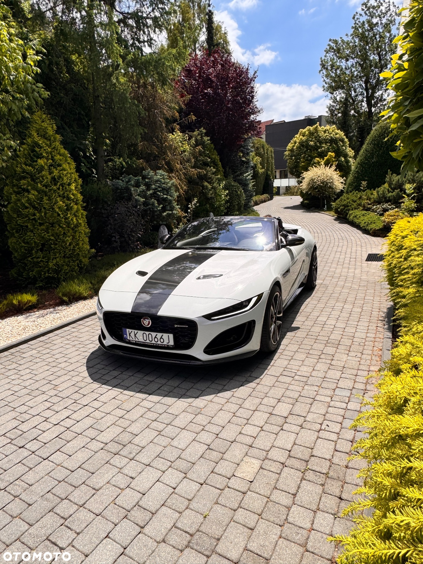 Jaguar F-Type 2.0 Turbo R-Dynamic - 2