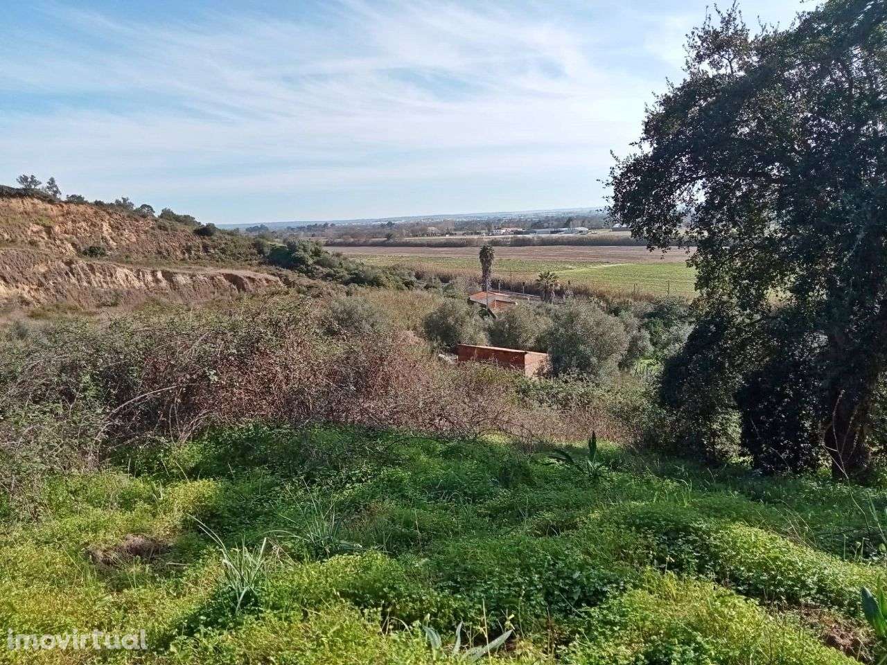 Terreno com 13000 m2 em Santarém - Grande imagem: 4/9