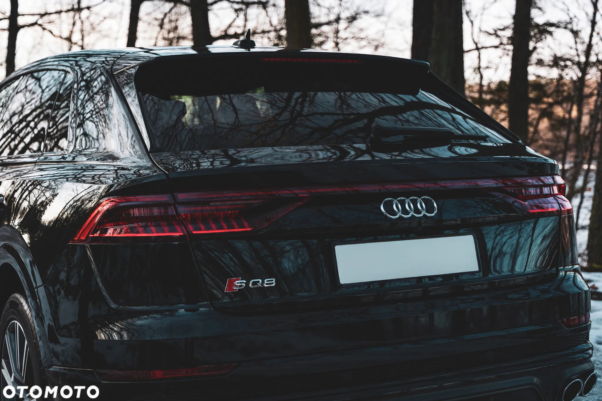 Audi SQ8 - 6