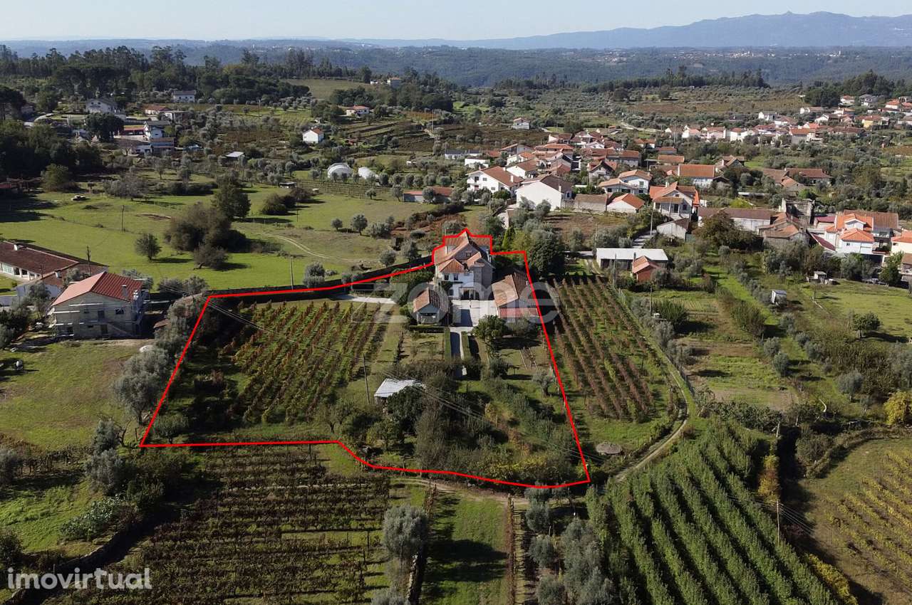 Moradia T6 - 5.000 m² de terreno Viseu - VENDA COM USUFRUTO VITALÍC... - Grande imagem: 2/53