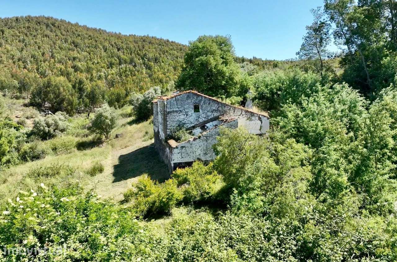 Monte na serena Serra d'Ossa com 11ha e 3 casas rústicas - Grande imagem: 2/18