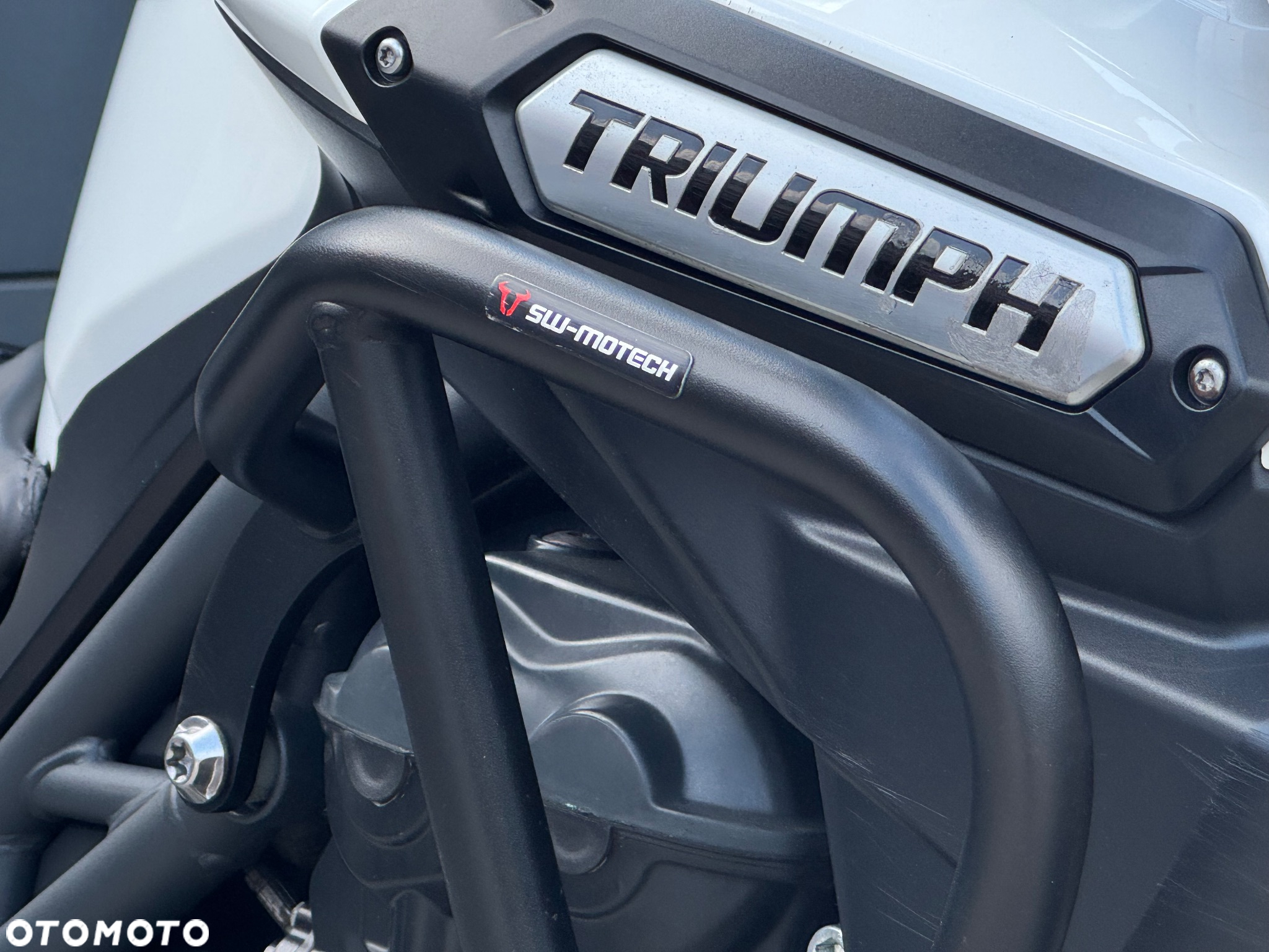 Triumph Tiger - 5