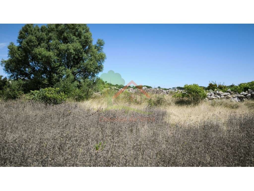 Terreno Rústico, perto de Bolelas - São João das Lampas - Grande imagem: 4/6