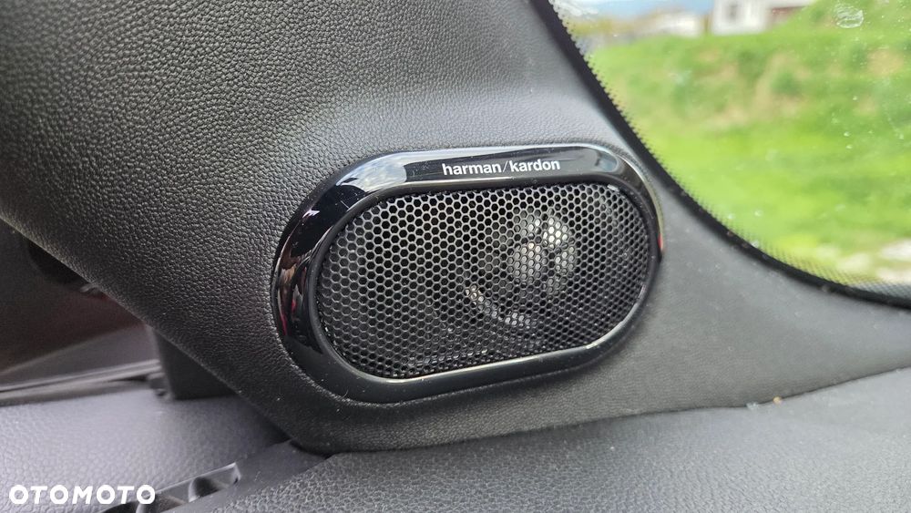 MINI Cooper S Sidewalk Trim - 17