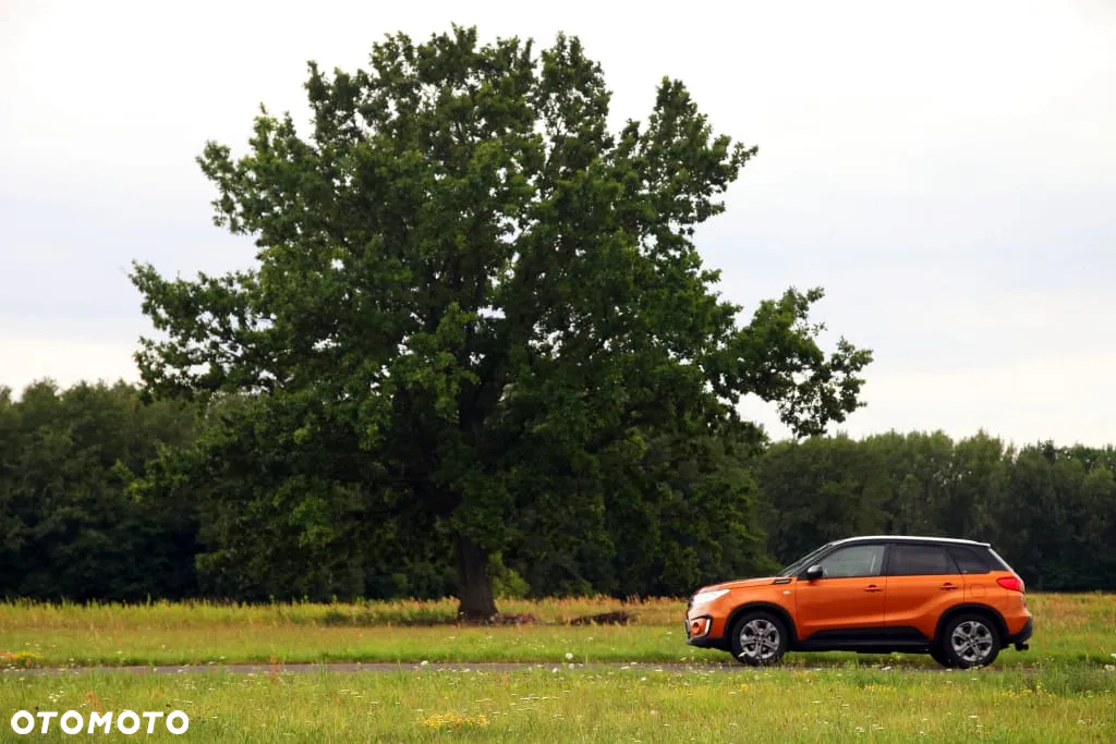 Suzuki Vitara 1.6 Premium 4WD - 6