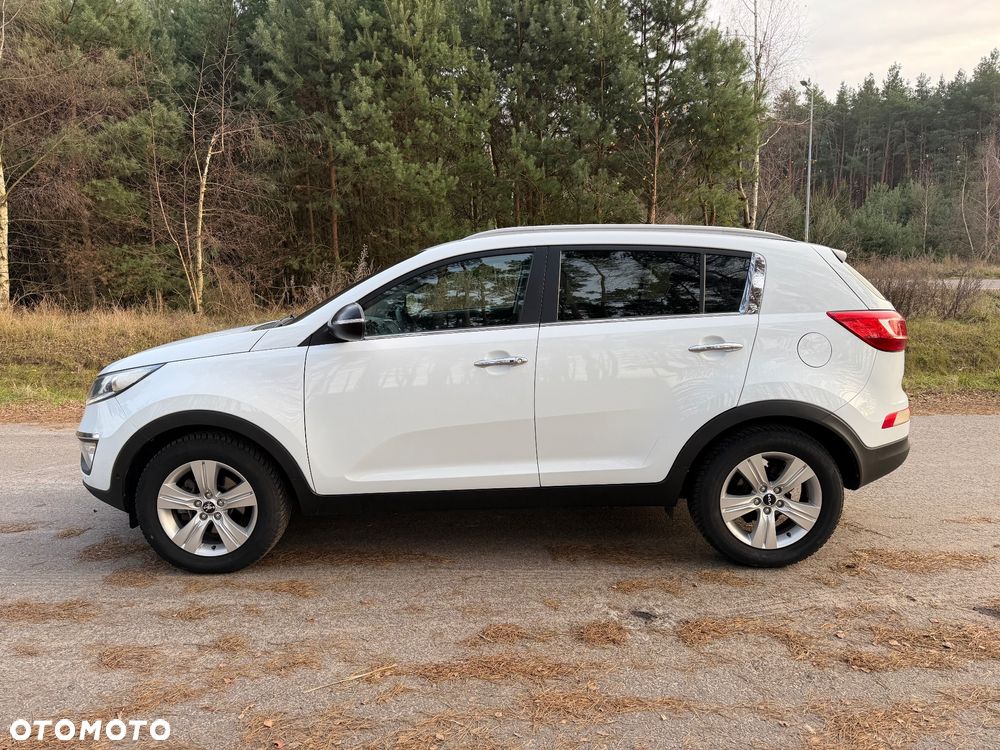 Kia Sportage 1.6 GDI Business Line L 2WD - 8