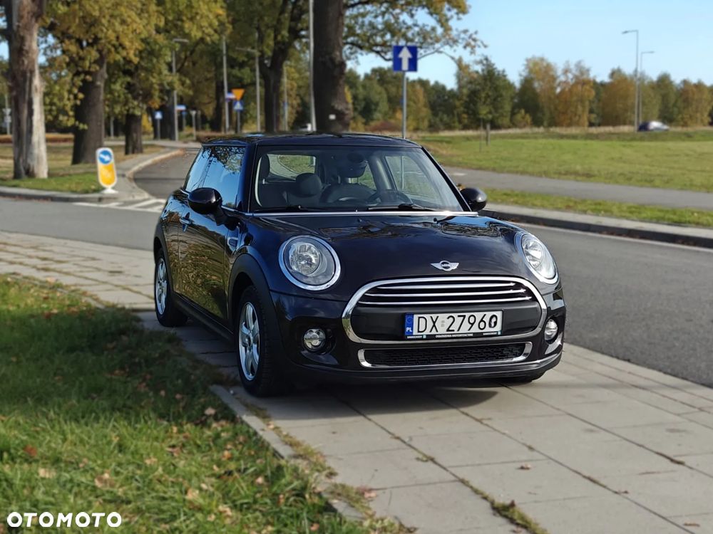MINI ONE Blackyard - 19