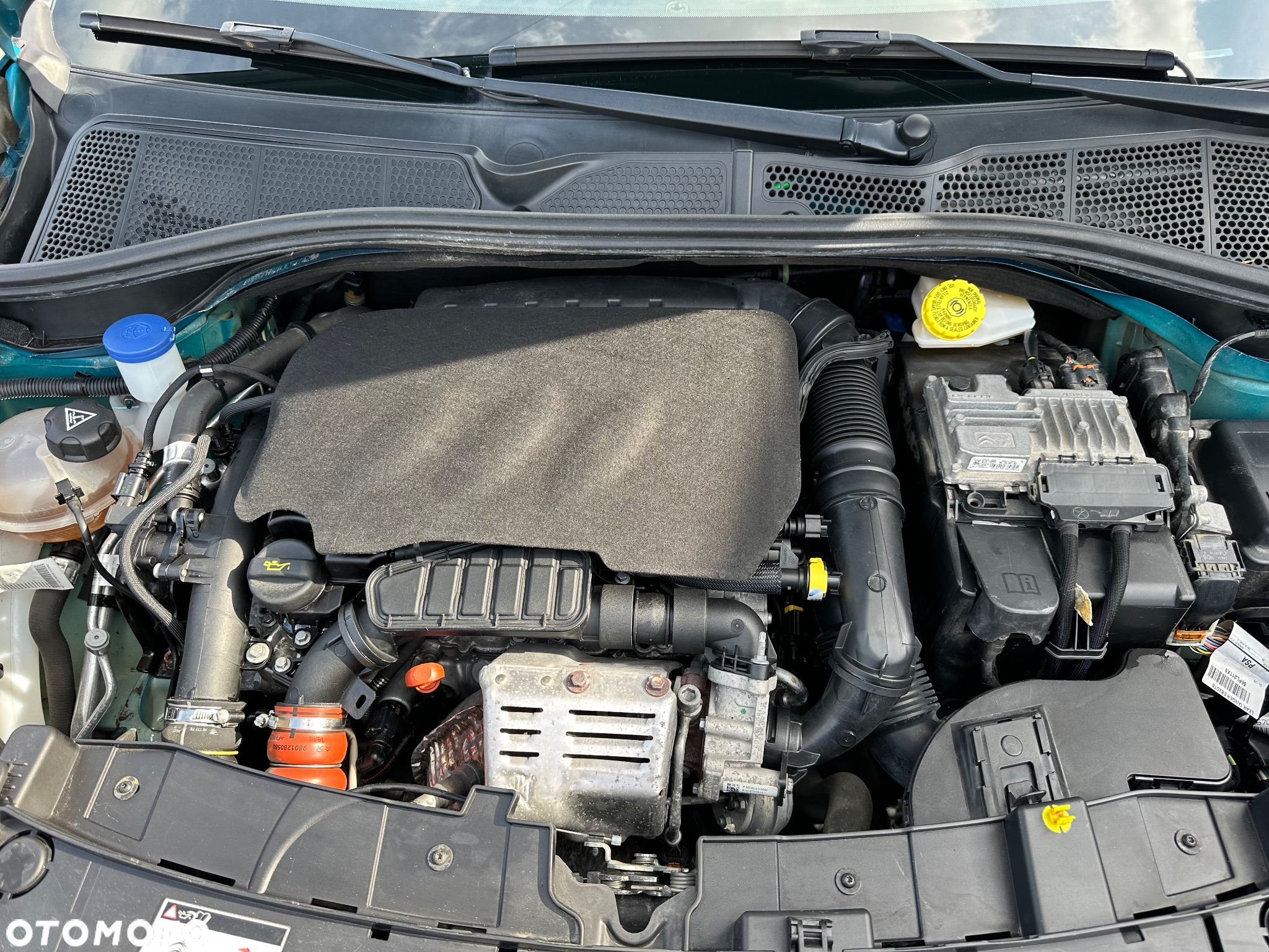 Citroën C4 Cactus - 20