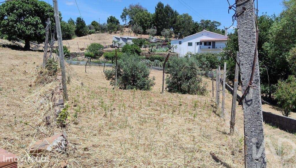 Terreno em Pedrógão Grande de 1114,00 m2 - Grande imagem: 4/19