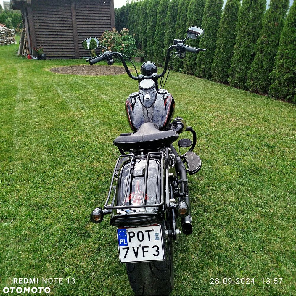 Harley-Davidson Softail Cross Bones - 7
