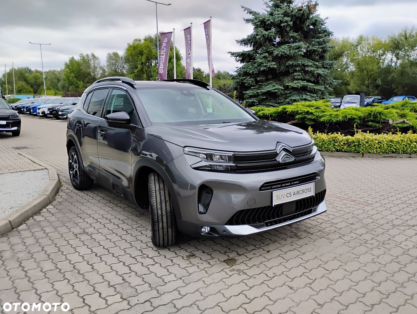 Citroën C5 Aircross 1.5 BlueHDi Max EAT8 - 4