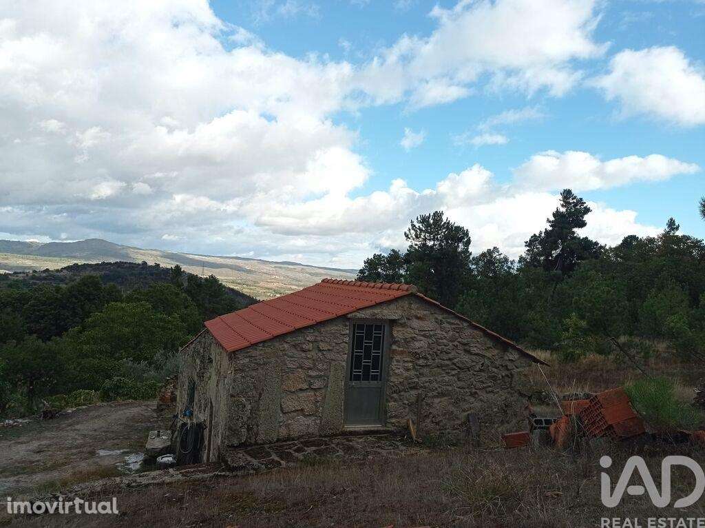 Terreno Agrícola em Sendim - Grande imagem: 4/22