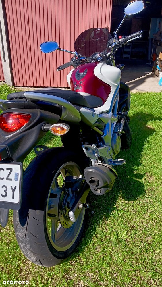 Suzuki Gladius - 2