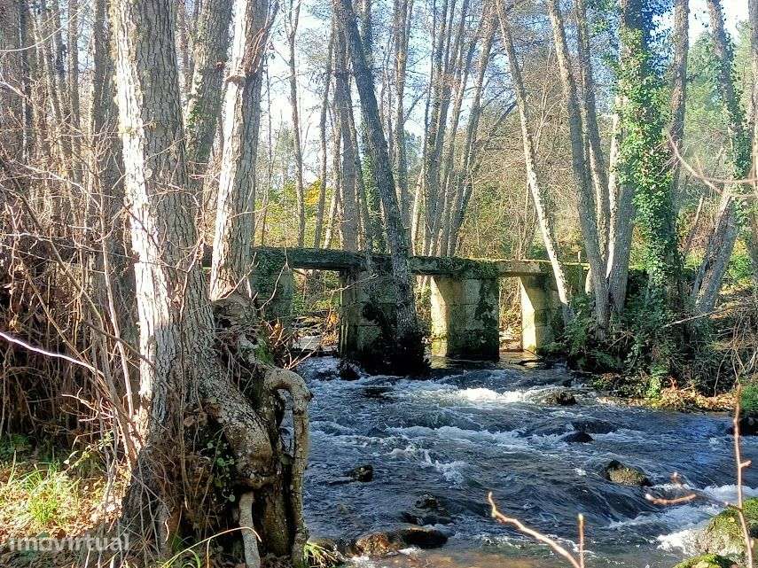 Quinta com 46.000 m2 junto ao Rio Calvo, em Valpaços, ideal p/ turismo - Grande imagem: 2/21