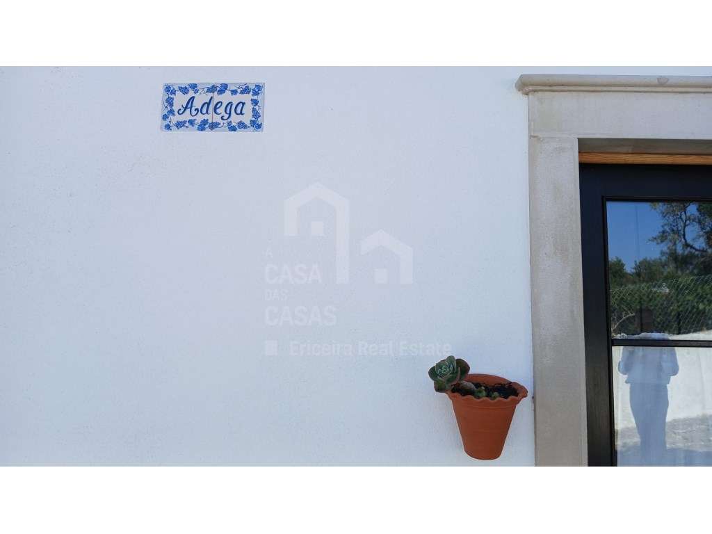 Arrenda Moradia T1 - Ericeira 6 km, A Casa das Casas - Grande imagem: 4/28