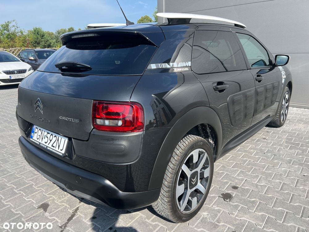 Citroën C4 Cactus Pure Tech 110 Stop&Start Rip Curl - 14