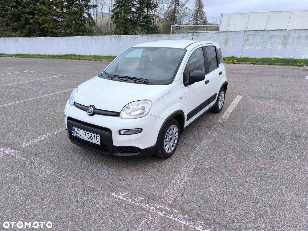 Fiat Panda - 1