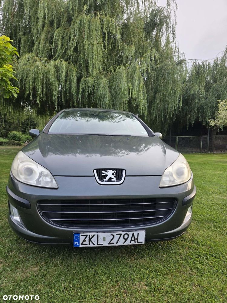 Peugeot 407 - 3