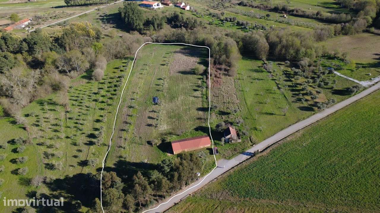 Moradia para Reconstrução com Terreno de 1,2 Hectares e Ribeira – E - Grande imagem: 2/19