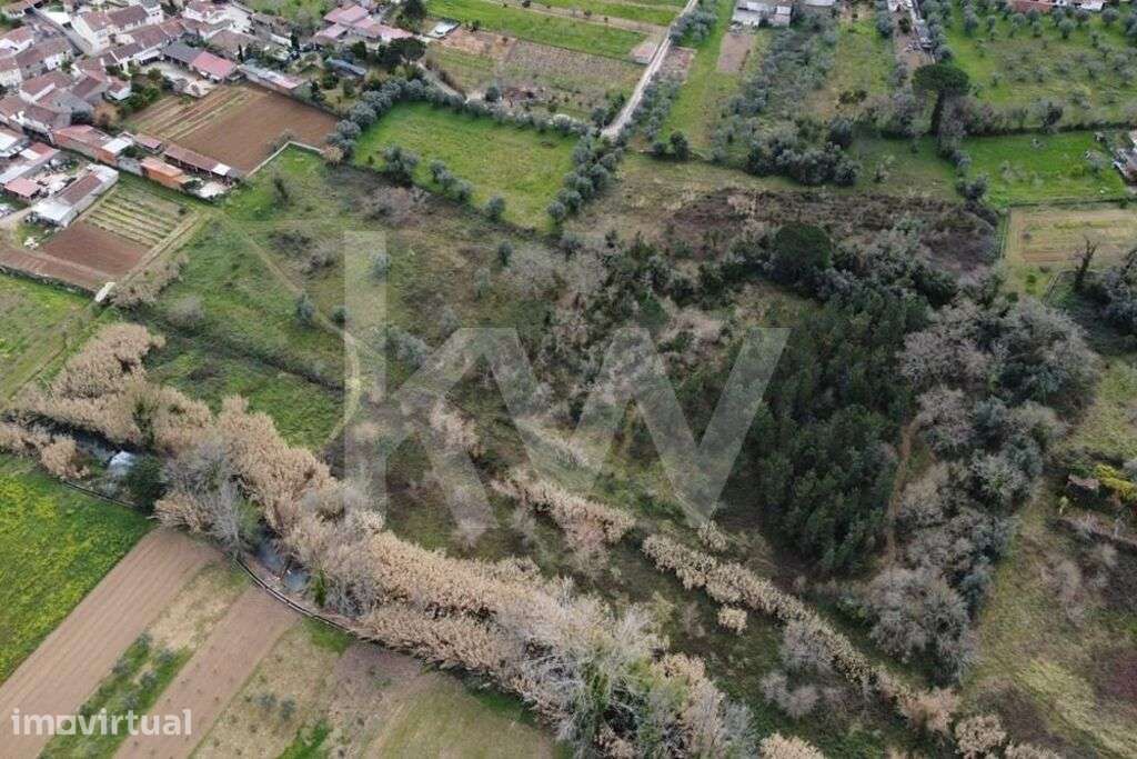 Terreno Rústico com acesso a um Ribeiro, 20.910 m2, Condeixa-a-Nova (Q - Grande imagem: 5/12