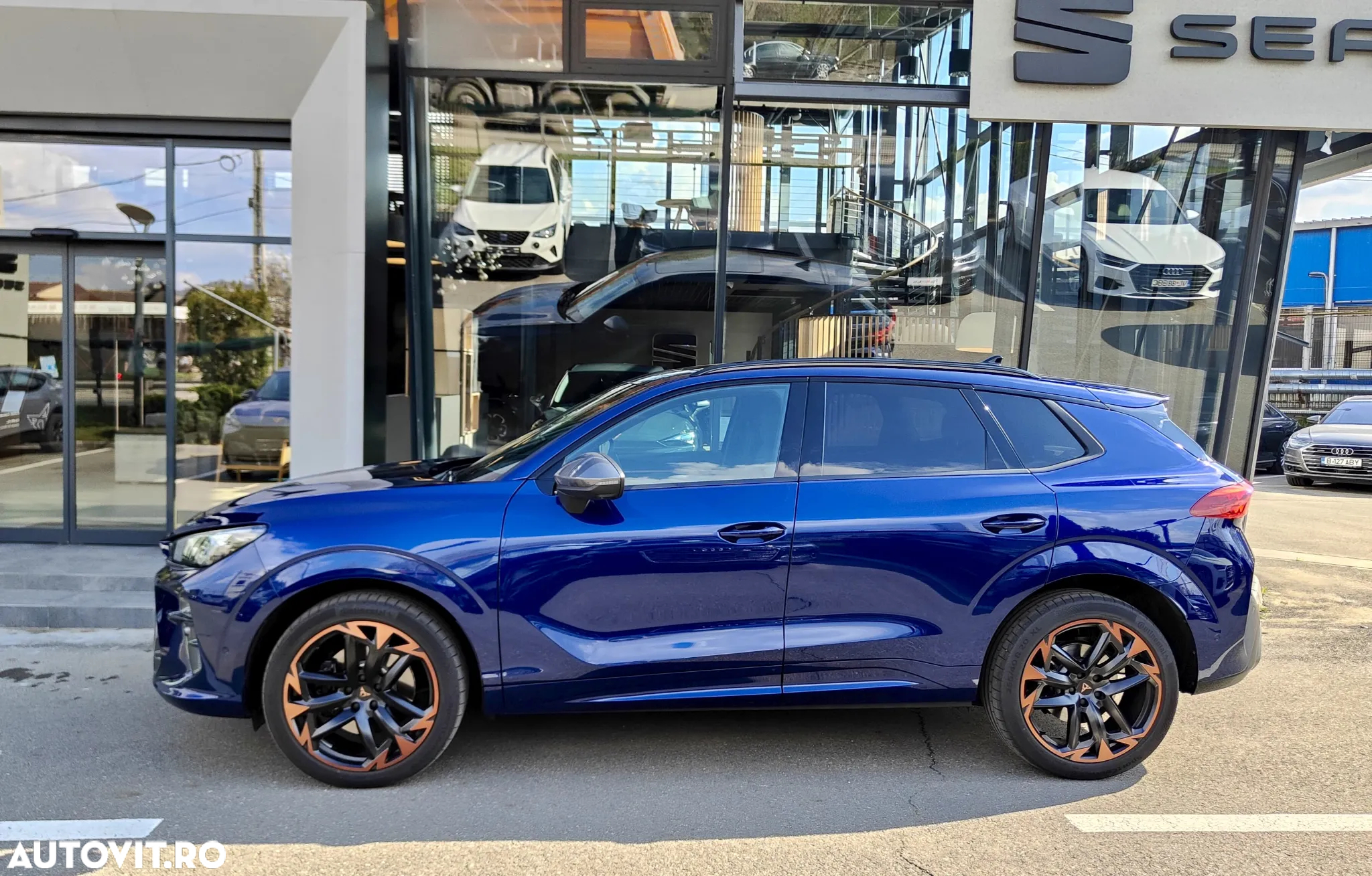 Cupra Terramar - 3