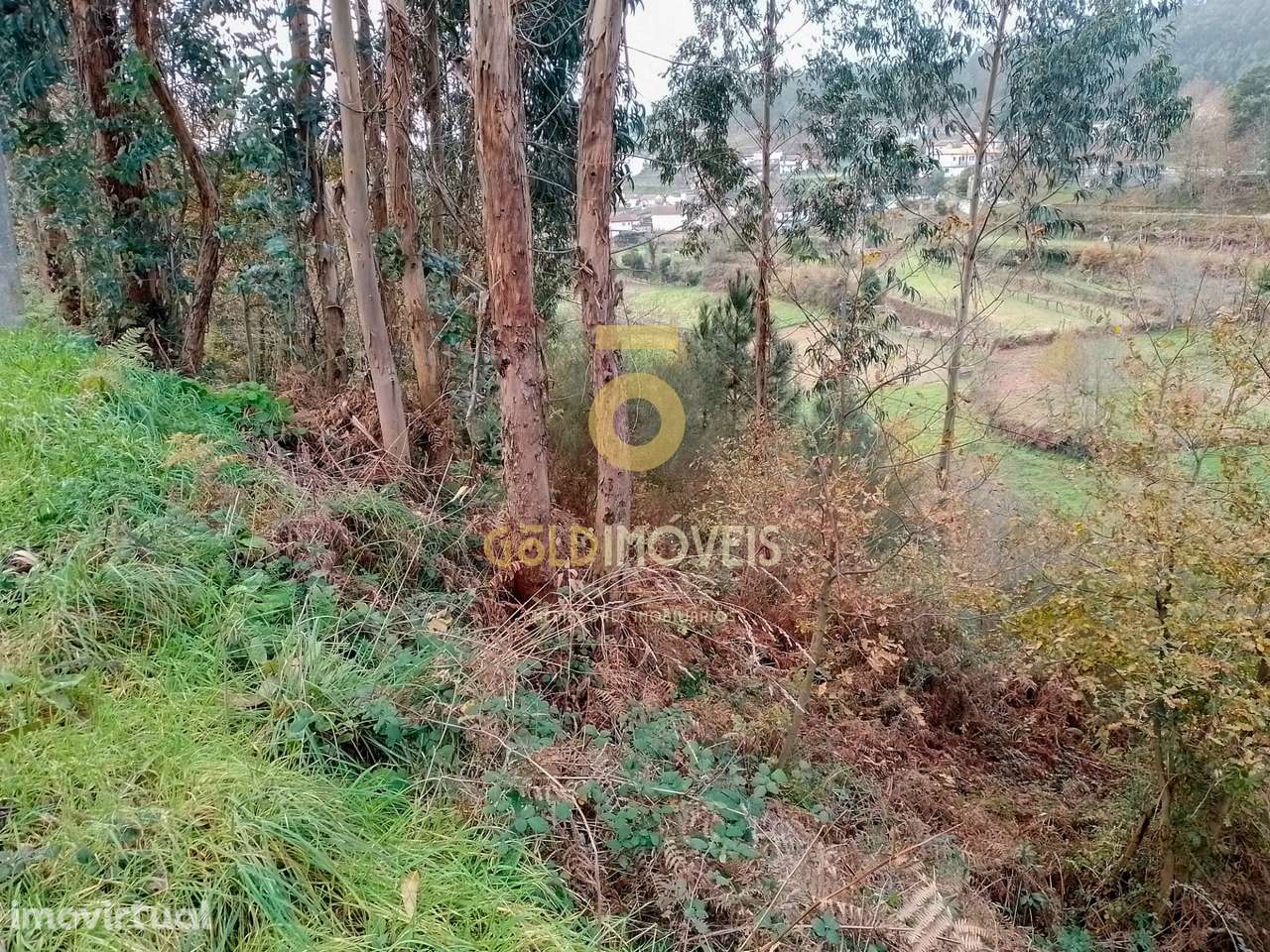 Terreno Rústico  Venda em Souselo,Cinfães - Grande imagem: 2/6