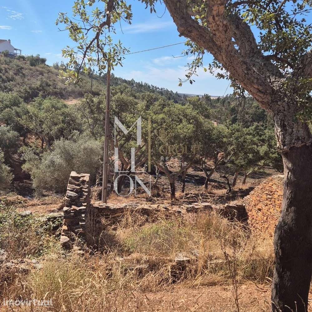 Quintinha para recuperar com uma área de 2,7 hectares com casa em ruin - Grande imagem: 3/16