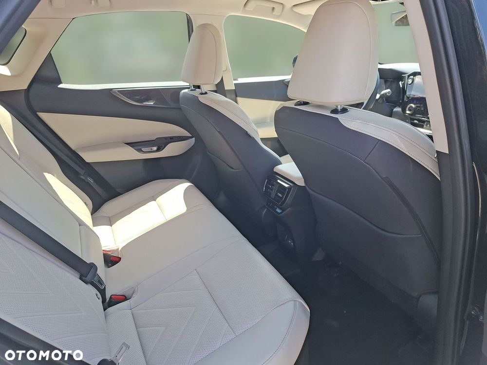 Lexus NX - 18