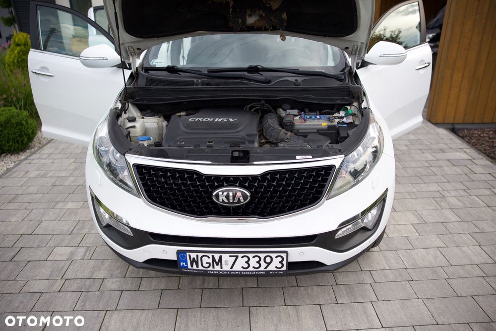 Kia Sportage - 6