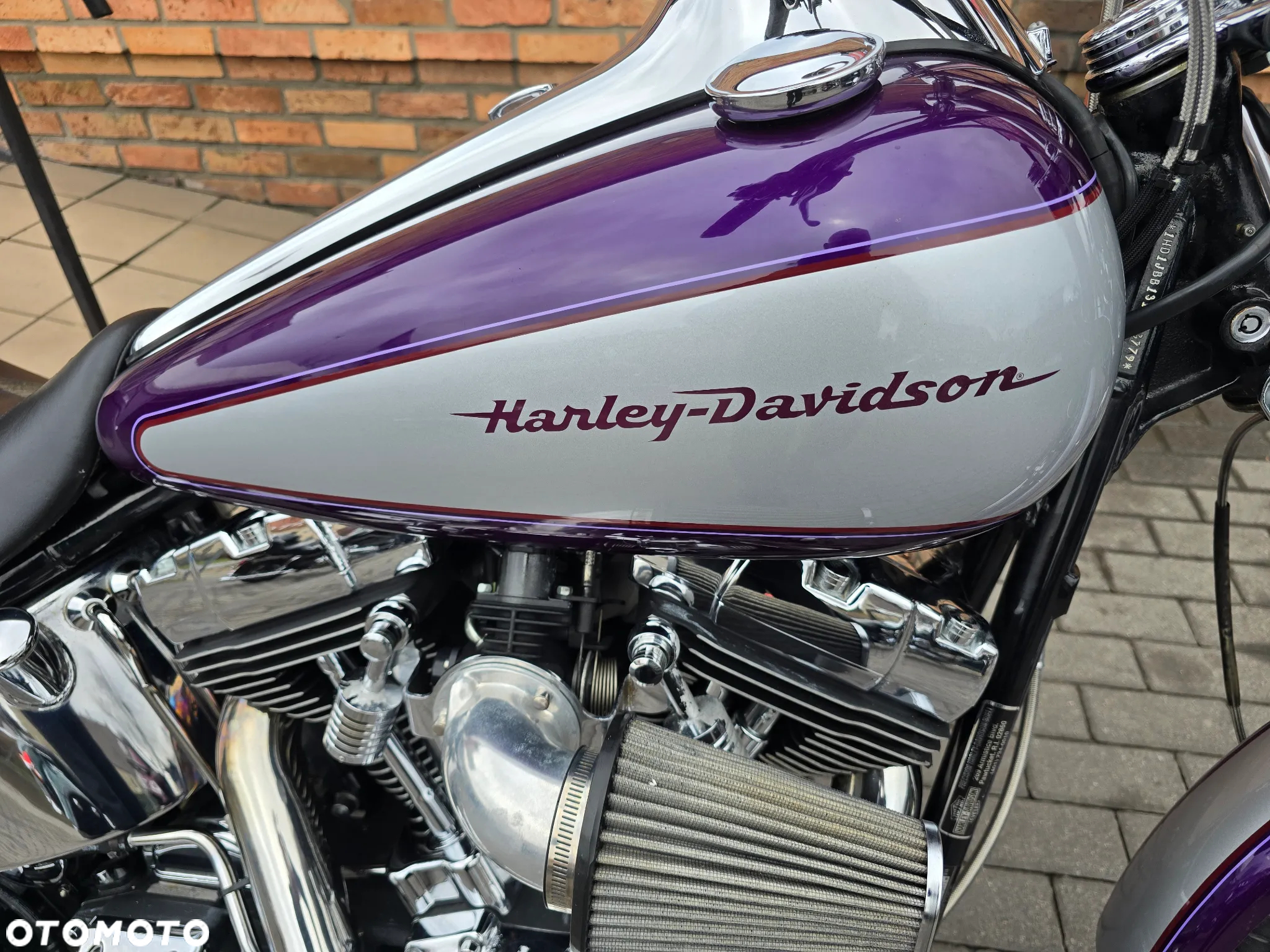 Harley-Davidson Softail - 14
