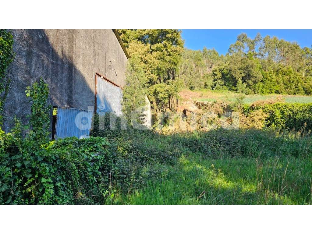 Armazém para recuperar - Vila Conde! - Grande imagem: 3/14