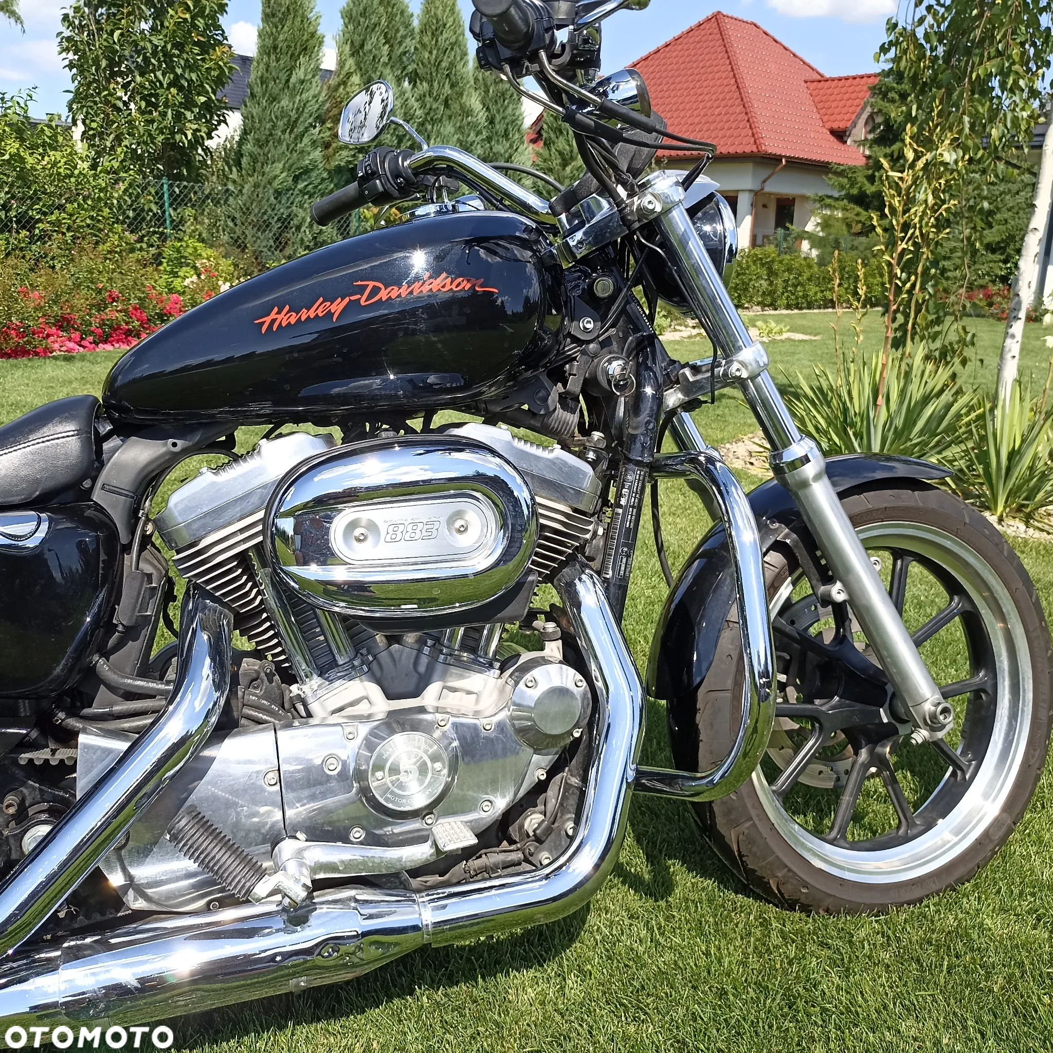 Harley-Davidson Sportster Low 883L - 5