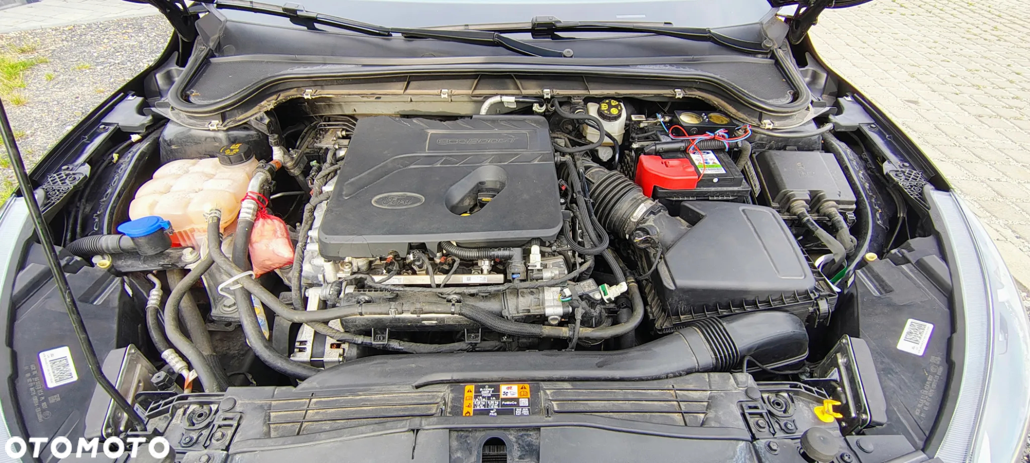 Ford Focus - 24