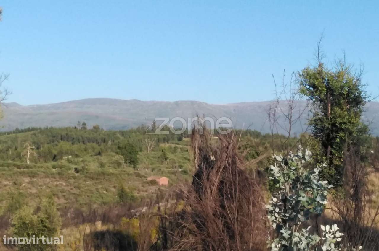 Terreno 8.533m2 em Sameice - Seia - Grande imagem: 4/21