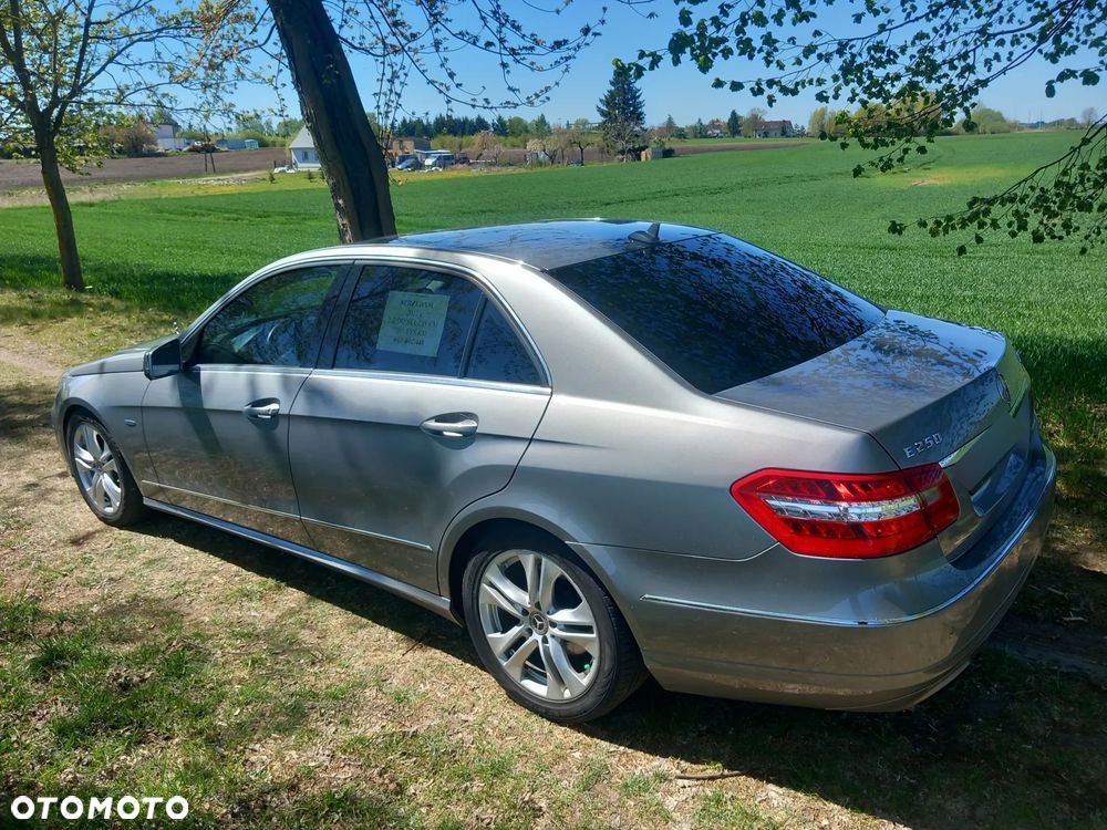 Mercedes-Benz Klasa E 250 CDI DPF BlueEFFICIENCY 7G-TRONIC Avantgarde - 30