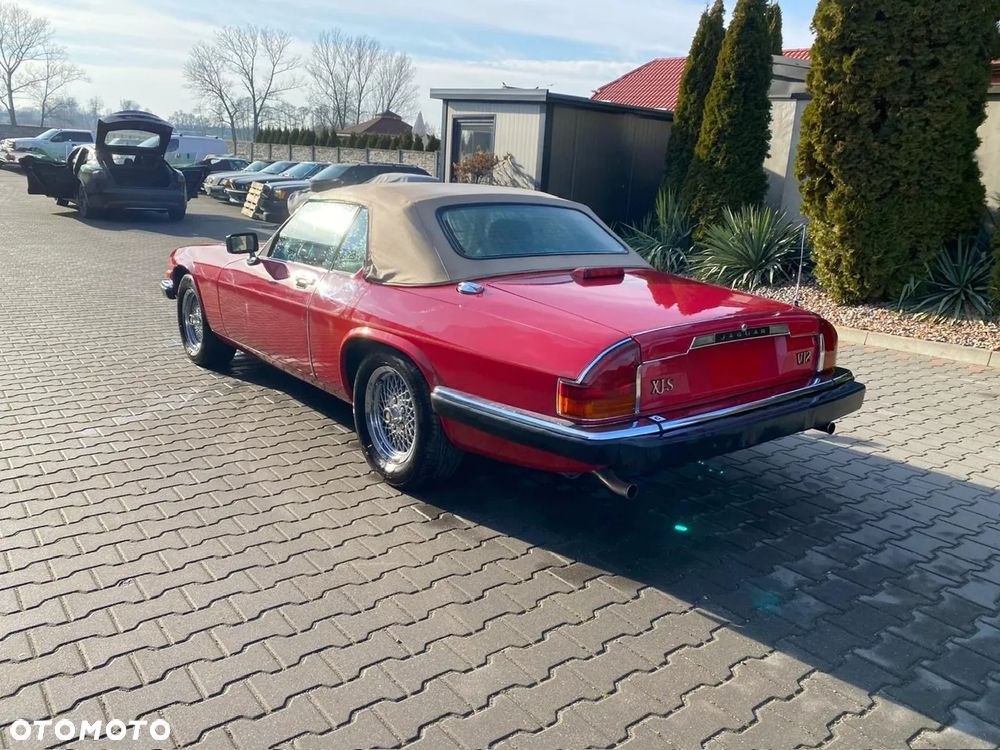 Jaguar XJS - 15