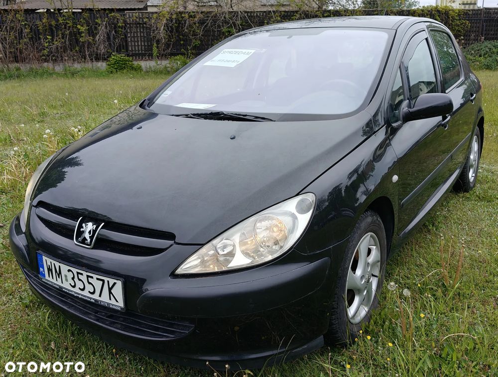 Peugeot 307 1.6 XS - 1