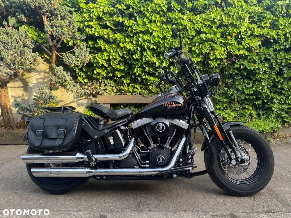 Harley-Davidson Softail Cross Bones - 1