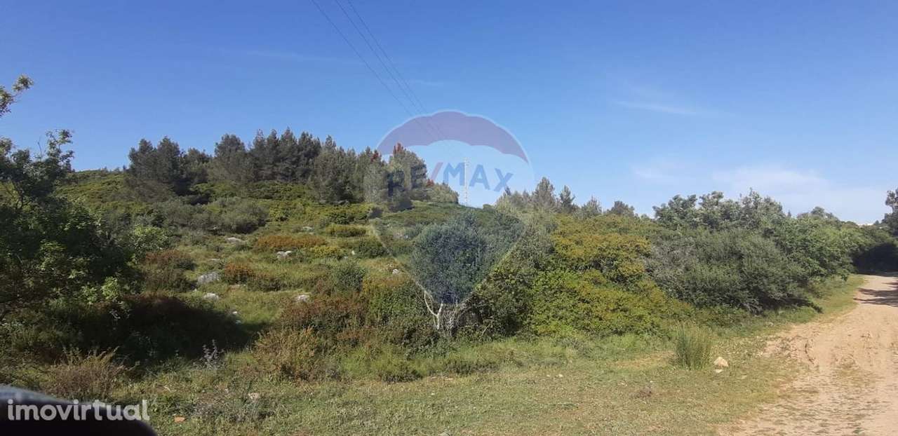 Terreno Rústico - Alcabideche / Pedroga - Grande imagem: 4/26